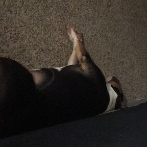 Meet your Posher, Roberto